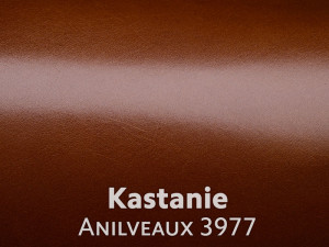 Anilveaux-Kastanie-3977